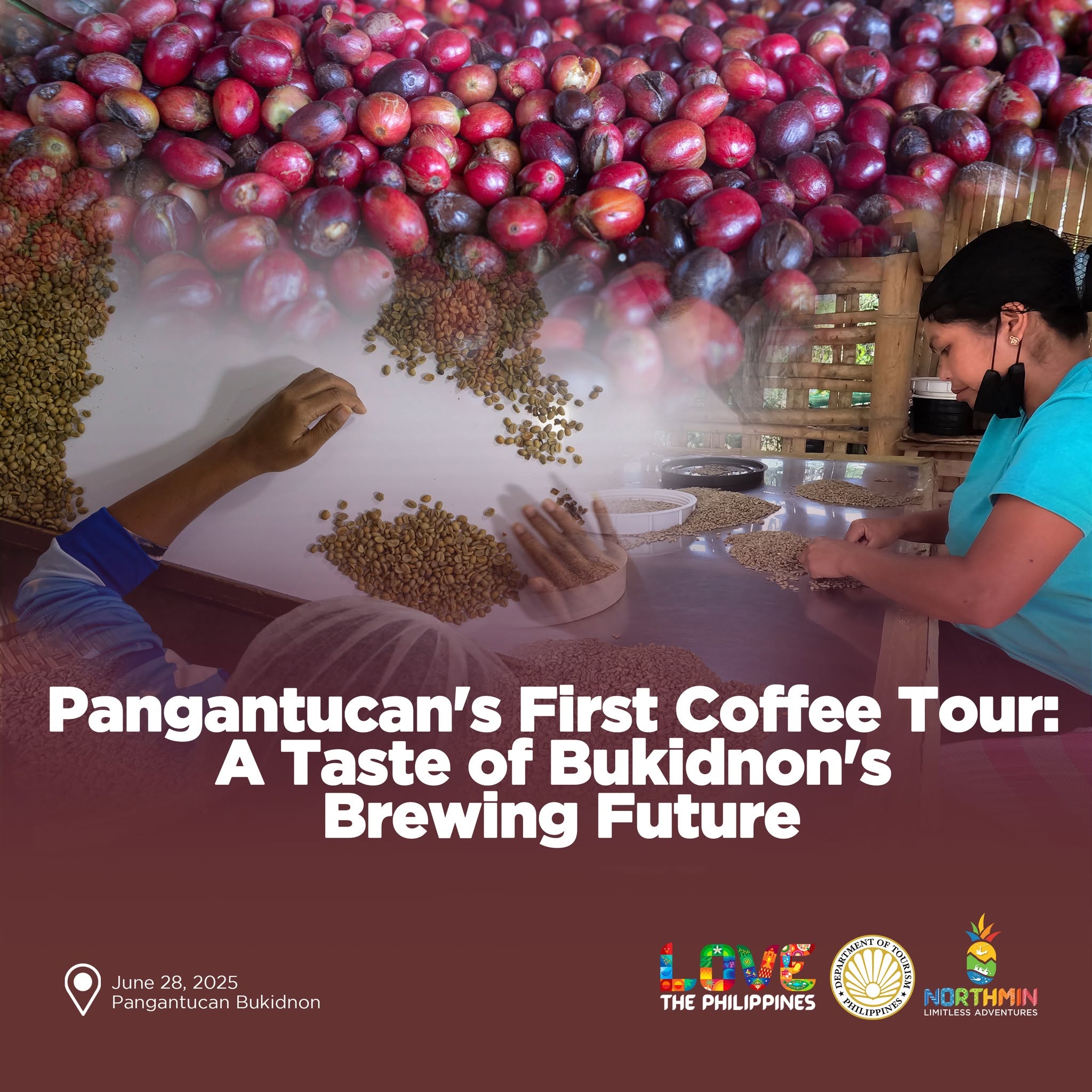 Official poster for Pangantucan's First Coffee Tour showing coffee cherries and workers sorting green coffee beans